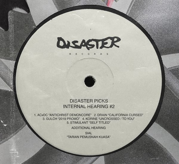 DISASTER PICKS – INTERNAL HEARING #2