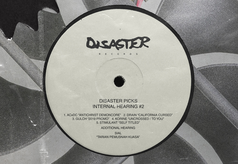 DISASTER PICKS – INTERNAL HEARING #2