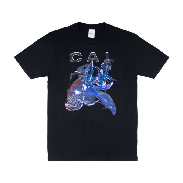 CONFORMATION TS